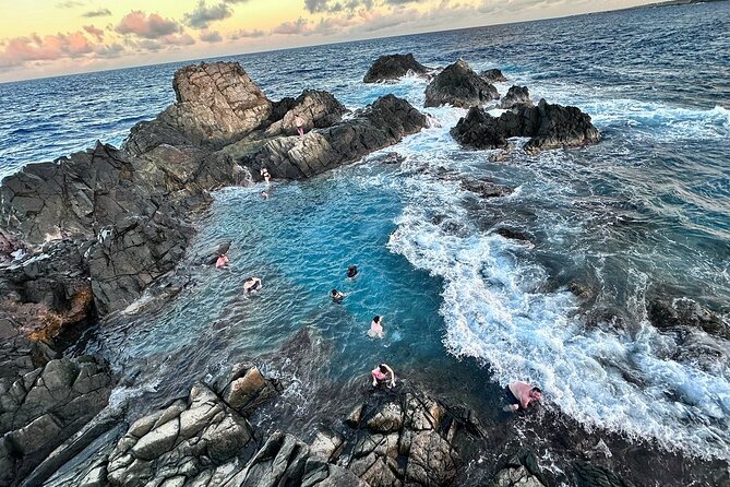 Horseback Riding and Natural Pool Adventure in Aruba - Who this tour fits best (and who should think twice)