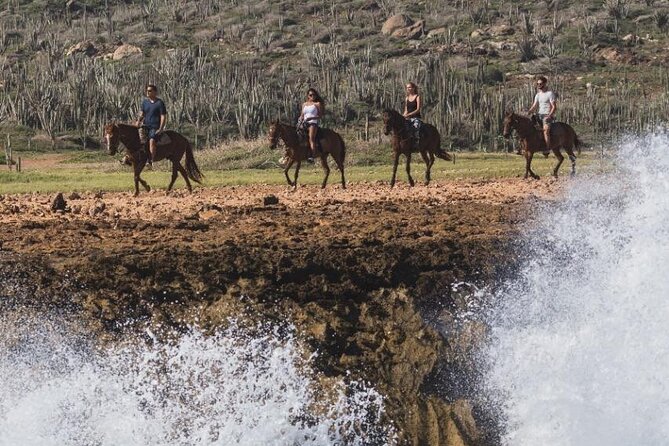 Horseback Riding Wariruri Beach Tour in Aruba - Why Wariruri Beach Feels Different Than a Standard Aruba Tour