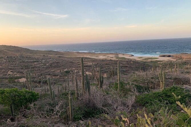 Horseback Riding Wariruri Beach Tour in Aruba - Wariruri Bay and the Wariruri Mini Natural Bridge Moment