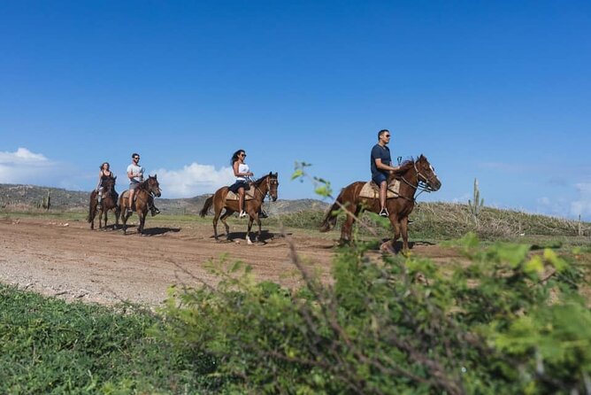 Horseback Riding Wariruri Beach Tour in Aruba - Guides and Personality: Why Alex, Juan, and Jenna Get Mentioned