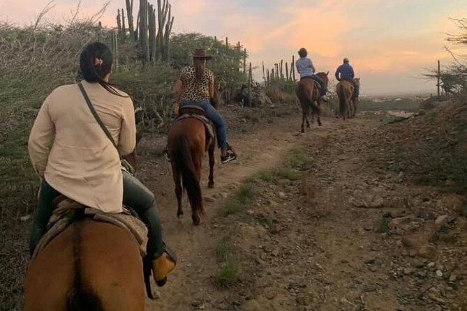 Horseback Riding Wariruri Beach Tour in Aruba - What Makes the $98.60 Price Feel Fair