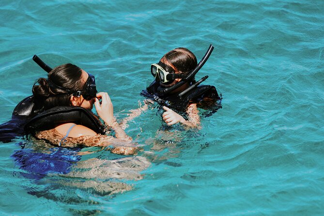 Iconic Aruba Sail and Snorkel Experience - Open bar and snacks: value, but know the tradeoffs