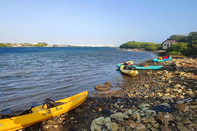 Kayak Tour to Seaglass Island - Kayak to Seaglass Island: Why this Aruba stop feels different