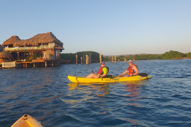 Kayak Tour to Seaglass Island - Sea Glass Island itself: Mangroves, reef walk time, and the hunt