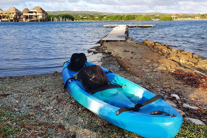 Kayak Tour to Seaglass Island - Best time and how to plan your day