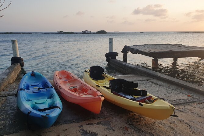 Kayak Tour to Seaglass Island - Weather matters, and so does confirmation