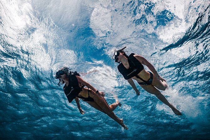 Premium Morning Snorkel Sail with Champagne Brunch - Breakfast at Sea: Danishes, Croissants, Coffee, and Mimosas That Start the Day