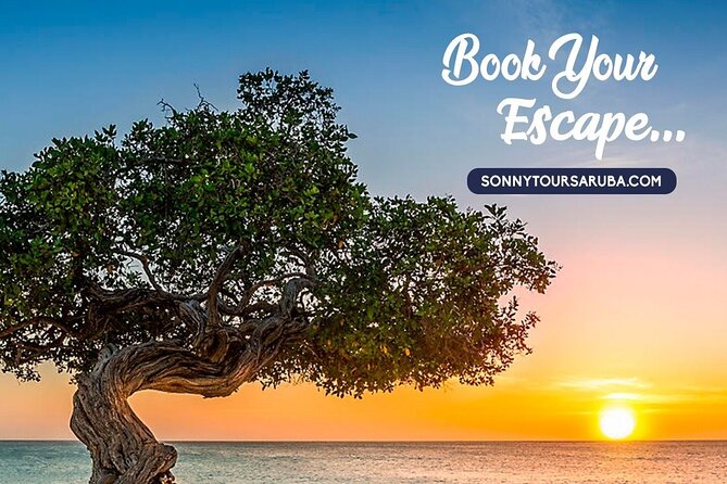 Private Aruba roundtrip airport transfer - The Ride Itself: Quick, Comfortable, and Actually Useful