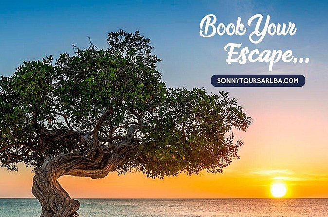 Private Aruba roundtrip airport transfer - What You Need to Tell Them Before Booking Works Smoothly