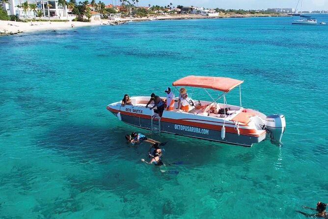 Private Aruba Snorkeling Excursion with Rum Punch - What You’ll See Underwater (And How to Look for It)