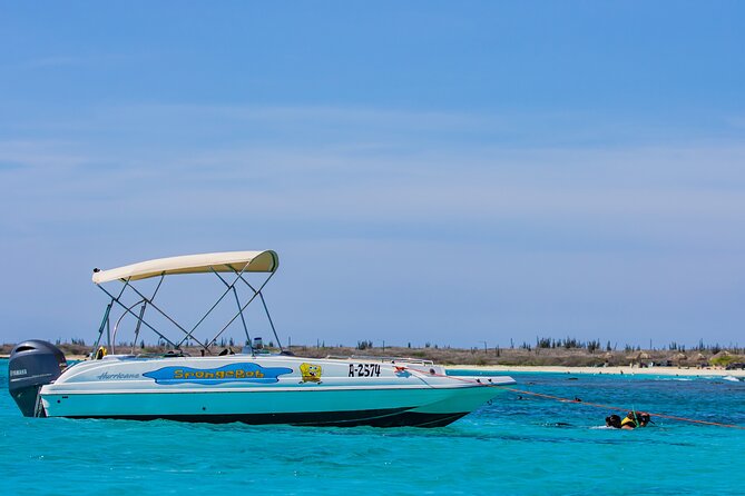 Private Boat Cruise with Snorkeling - Private Cruise in Aruba: what actually makes it worth your time