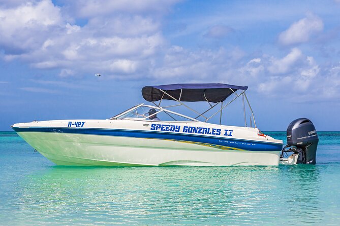 Private Boat Cruise with Snorkeling - Malmok Reef: fish, shallow water, and the cave factor