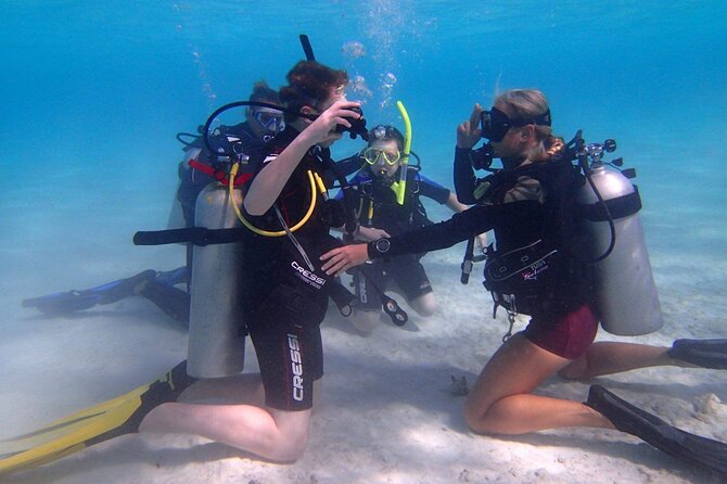 Private First-Time Dive on Aruba’s Reef and Wreck Site - Private first-time scuba in Aruba: what you’re actually buying