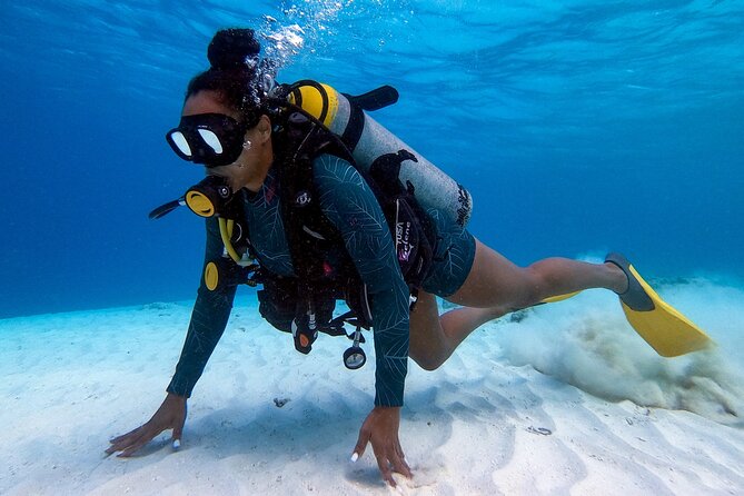 Private First-Time Dive on Aruba’s Reef and Wreck Site - Reef and shipwreck: what you’ll see at up to 40 feet