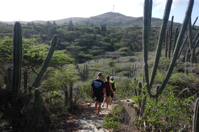 Private nature tour: Aruba's highest point & pristine coral reef - Mangel Halto snorkel: shore drifting over the outer reef
