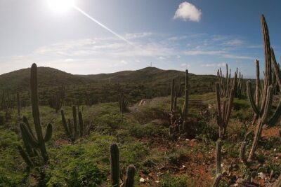 Private nature tour: Aruba's highest point & pristine coral reef - Mount Jamanota hike: Aruba’s highest point at 620 feet