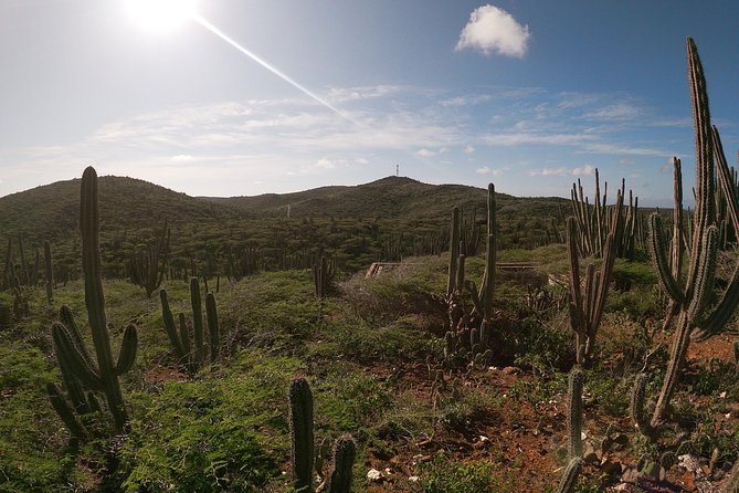 Private nature tour: Aruba's highest point & pristine coral reef - Mount Jamanota hike: Aruba’s highest point at 620 feet