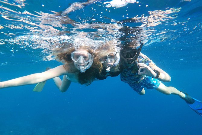 Private snorkel with 2 stops in Aruba - Eco-friendly! - Stop Selection and Weather: How They Keep It Fair for Your Group
