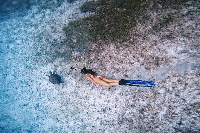 Private Turtle Spotting Snorkeling Excursion in Aruba - Meeting at Tres Trapi Beach and what the timing really means