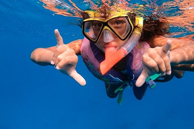 Private Turtle Spotting Snorkeling Excursion in Aruba - Turtle etiquette that actually helps you see more