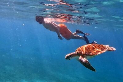 Private Turtle Spotting Snorkeling Excursion in Aruba - The in-water plan: how turtle spotting works here