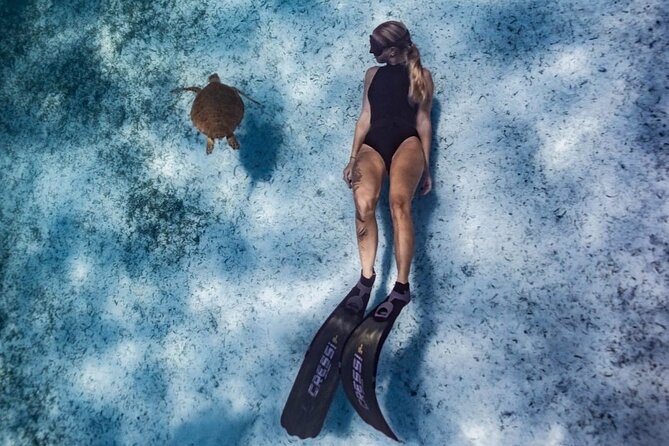 Private Turtle Spotting Snorkeling Excursion in Aruba - What the guide records: video and photos that feel personal