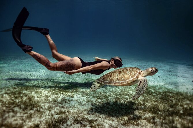 Private Turtle Spotting Snorkeling Excursion in Aruba - Snorkeling gear and the mask issue you should know