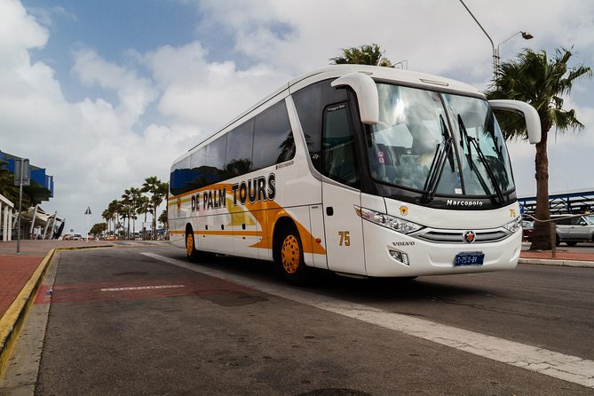 Round Trip Aruba Airport Transfer - Price and Value: Why $26 Can Be a Smart Move