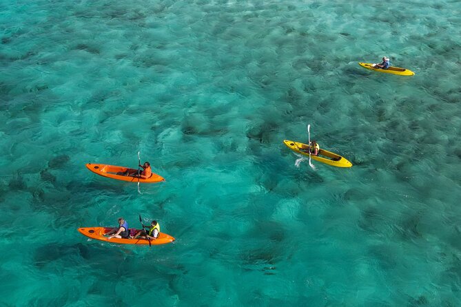 Sea Glass Island and Clear Kayak Adventure - Key things to know before you go
