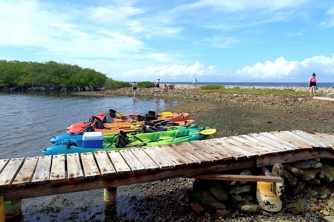 Sea Glass Island Aruba Tour - What’s the Value of $95? (It’s Not Just the Kayak)