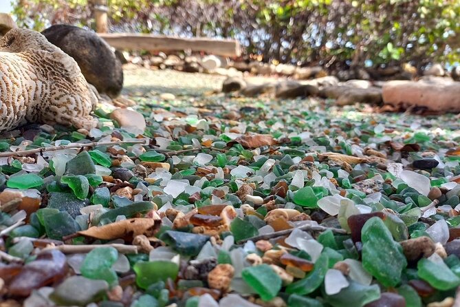 Sea Glass Island Aruba Tour - Who This Tour Suits Best (And Who Might Skip It)