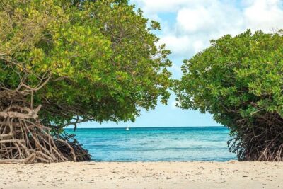 Small-Group Aruba Scuba Diving for Non-Certified Divers - Pickup Points and the Easy Route to Noord