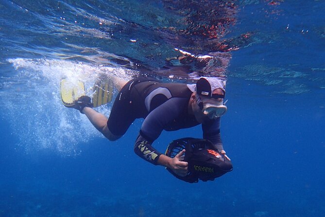 Small-Group Sea Scooters Snorkel at Mangel Halto Beach in Aruba - Price and Value: What $100 Really Buys You