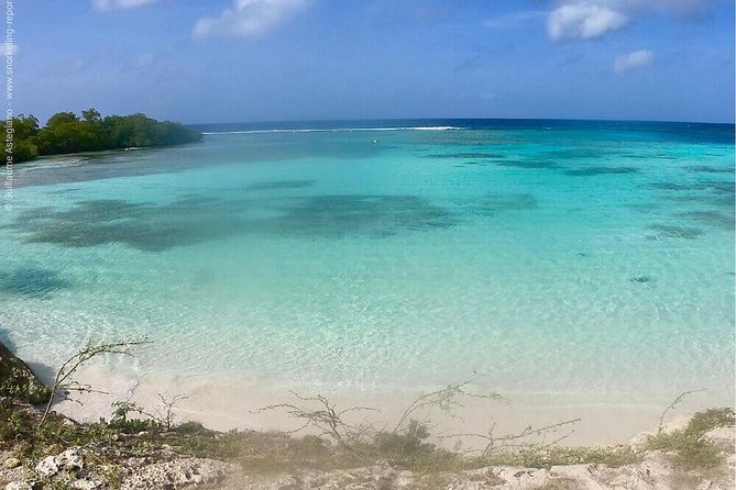 Small Group Snorkeling at Mangel Halto Aruba - Key points to know before you go