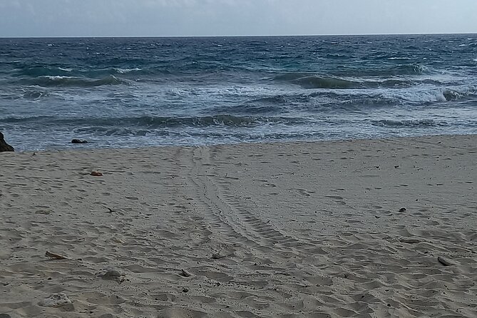 Sunrise Hike & Swim in Natural Pool: Escape the Crowds and Heat - Trail notes: moderate fitness, loose ground, and that last hill