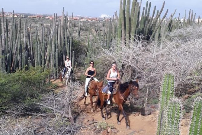 Sunset Horseback Ride in Aruba - Ranch Bar Wrap-Up: A Cold Drink After You Ride
