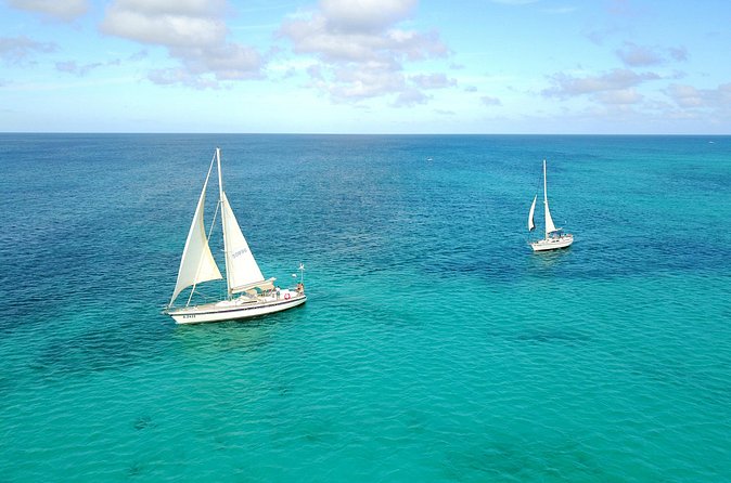 Tropical Sailing Experience with BBQ Lunch or BBQ Dinner in Aruba - Mangel Halto Reef snorkeling: what to expect and who it suits