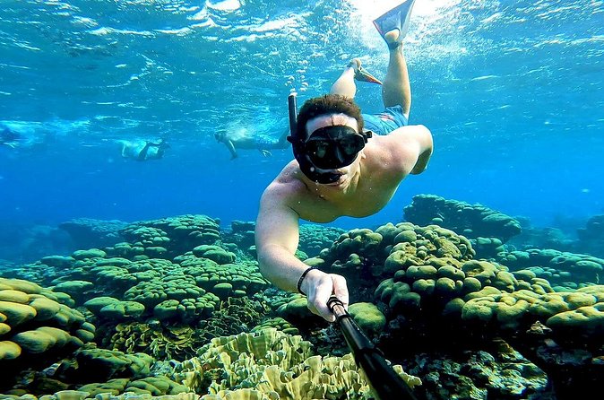 Tropical Sailing Experience with BBQ Lunch or BBQ Dinner in Aruba - Sunset sailing: when the afternoon cruise really pays off