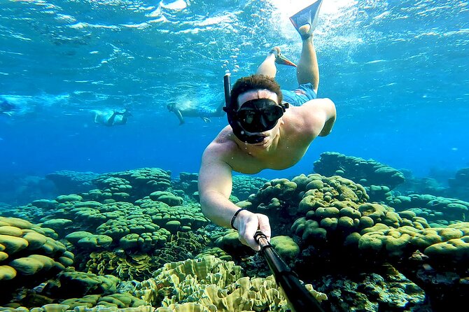 Tropical Sailing Experience with BBQ Lunch or BBQ Dinner in Aruba - Price and value: what $135 gets you in the real world