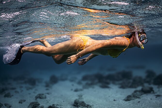Turtle Snorkeling Aruba: Private Tour with Video - Turtle Insurance: The Value That Changes How You Feel About Booking