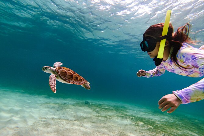 Turtle Snorkeling Tour in Tres Trapi, Aruba - What happens before you snorkel at Tres Trapi Beach