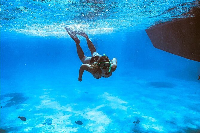 VIP Morning Delight Champagne Sailing and Snorkeling with Lunch - Malmok Beach and Catalina Bay: what your snorkeling morning looks like