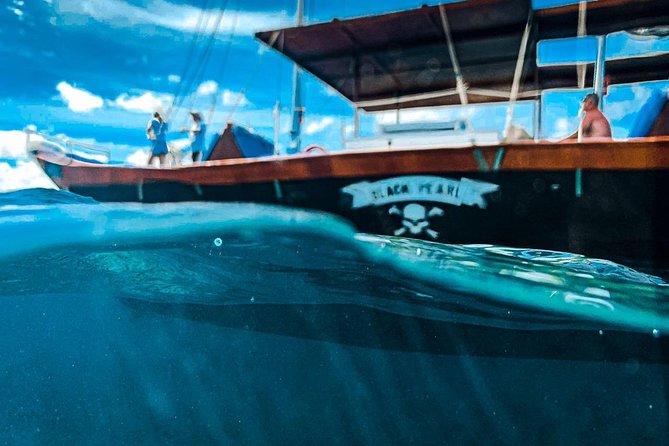 VIP Morning Delight Champagne Sailing and Snorkeling with Lunch - Price and value: is $129.99 per person worth it in Aruba?