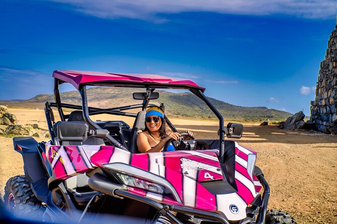Wild Side UTV Tour: Explore the Northern treasure - Getting on the UTV: what makes this tour different