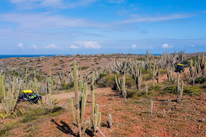 Wild Side UTV Tour: Explore the Northern treasure - Bushiribana Ruins: gold mills and a quick history stop that doesn’t drag